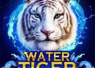Телемост удачи Water Tiger